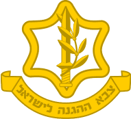 israel defense forces